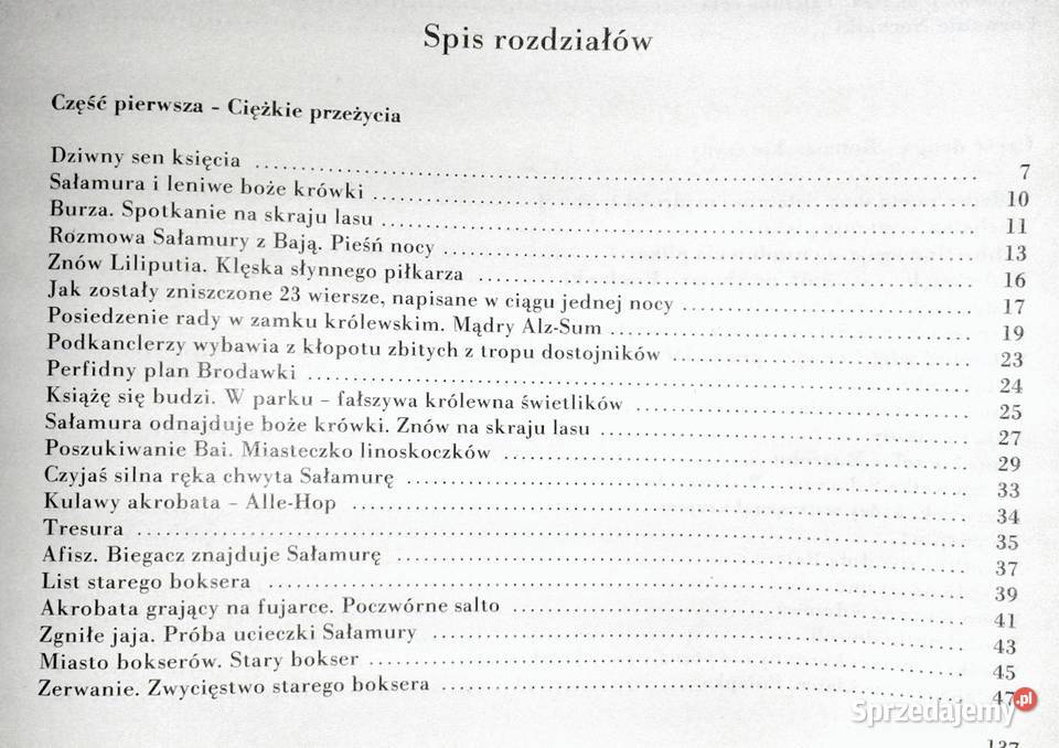 Przygody Sałamury Arczył Sułakauri Chełm sprzedam