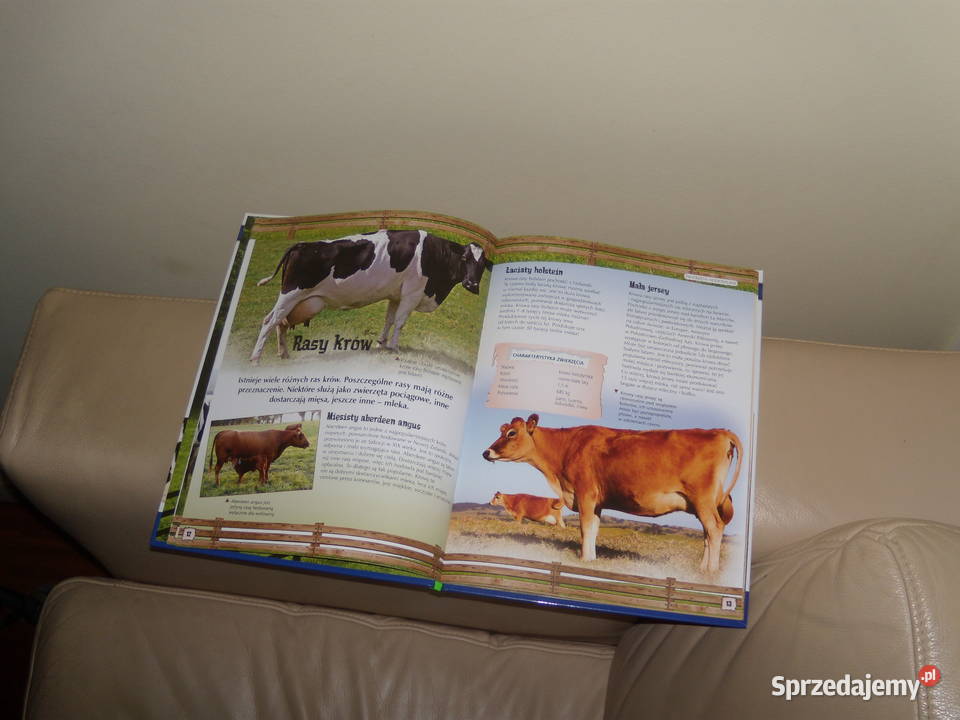 Zwierzęta hodowlane Odkrywanie świata Warszawa