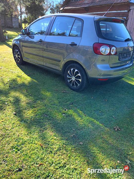 VW Golf Plus 16 Benzyna Golf Plus Niepołomice