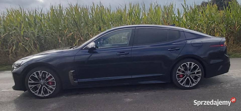 Kia stinger 33 benzyna awd 4x4 2020 nieuszkodzony Stinger Radzyń Podlaski
