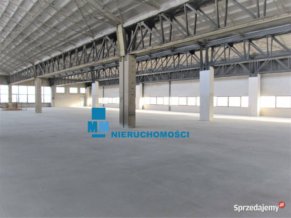 Powierzchnie magazynowe 200 2000 m2 do wynajęcia Będzin