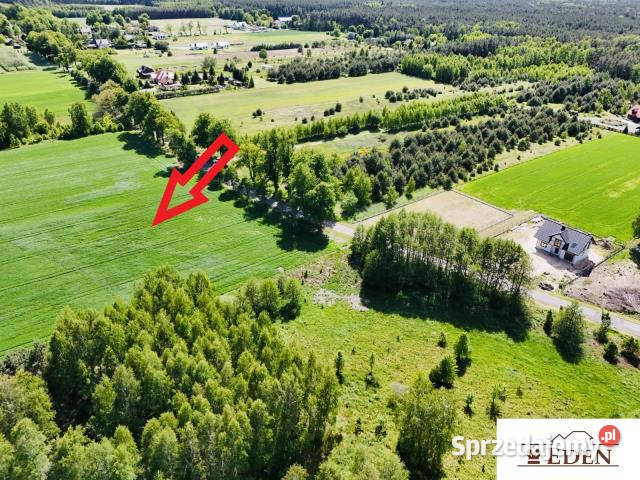 Grunt 1533m2 Chlewiska Sprzedaż