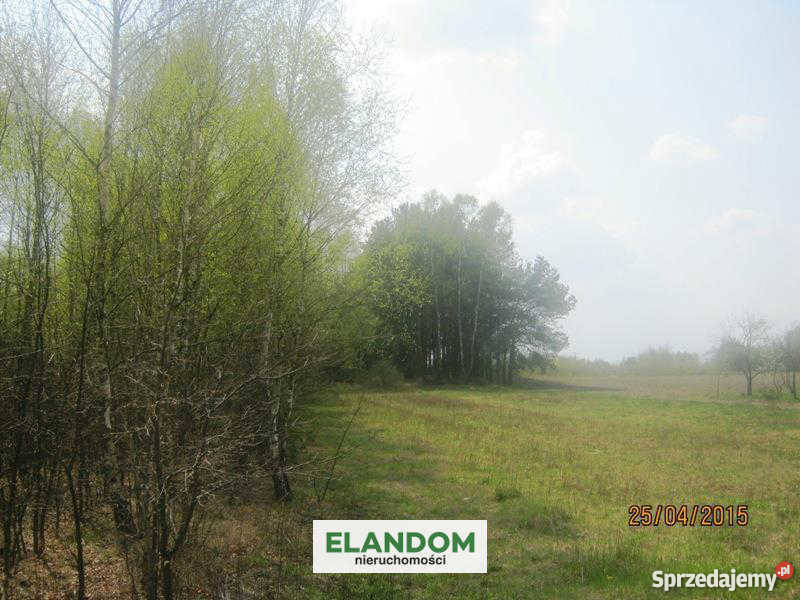 Sprzedam działkę rolną 24600m2 Władzin