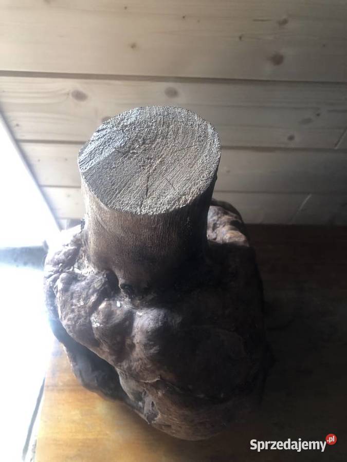 Sztuka użytkowa drewno Pozostałe Ciepielów