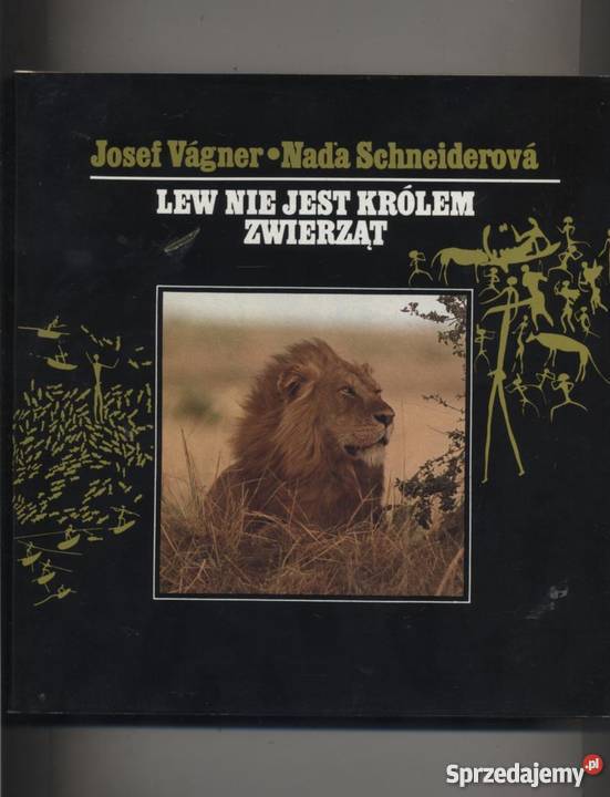 Lew nie jest królem zwierząt Szczecin sprzedam