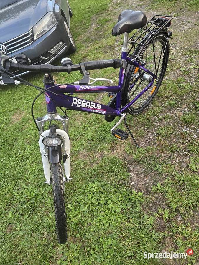 Rower 26 Pegasus Susiec