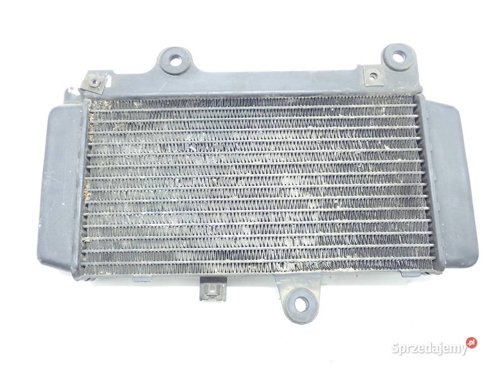 Chłodnica Szczelna Yamaha XTZ 660 Tenere 9099r lubuskie Strzelce Krajeńskie