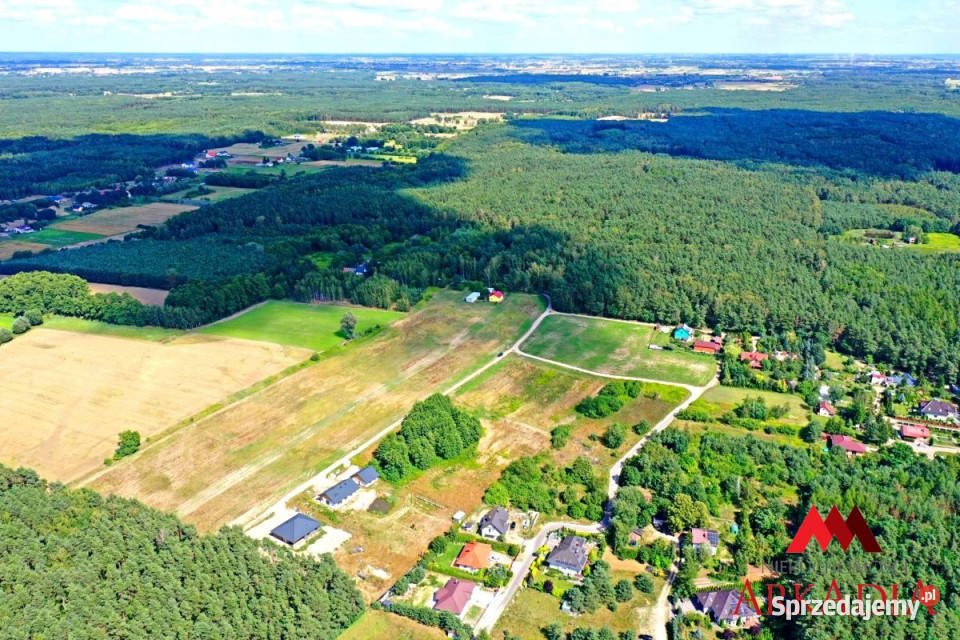 Działka 3100m2 Nowy Witoszyn kujawsko-pomorskie sprzedam