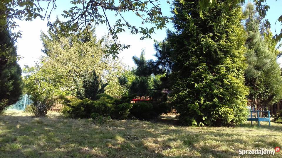 Sprzedam ogródek działkowy Płock