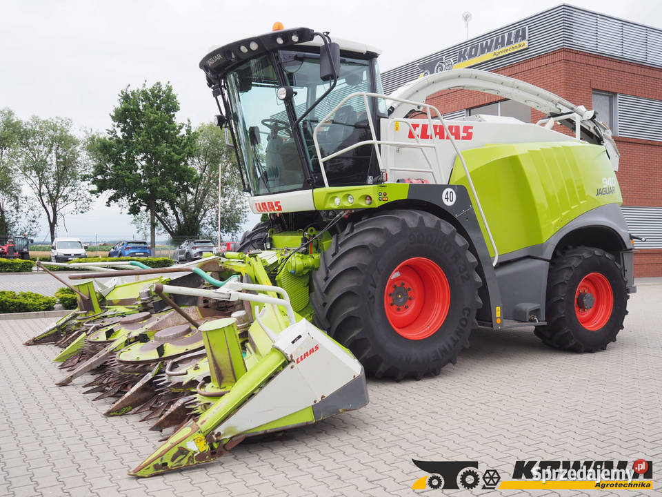Claas Jaguar 940 4WD Orbis 600 SD Sieczkarnia wielkopolskie Stęszew