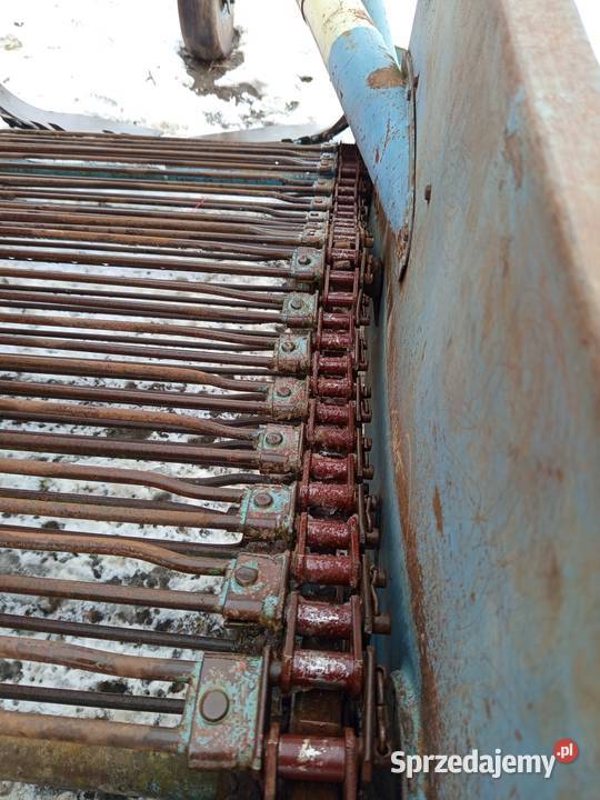 Kopaczka elewatorowa nowe ogniwka do ziemniaków Szynkielów