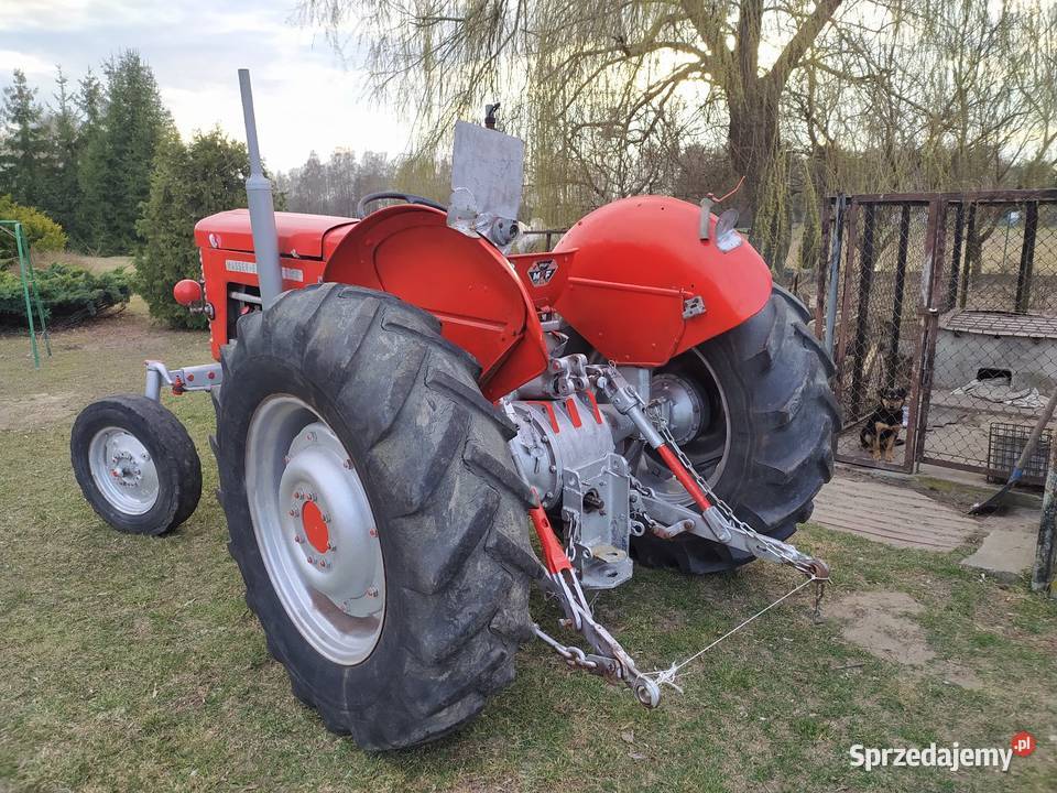 M F Ferguson Pali jeździ Skrzynia biegów Manualna