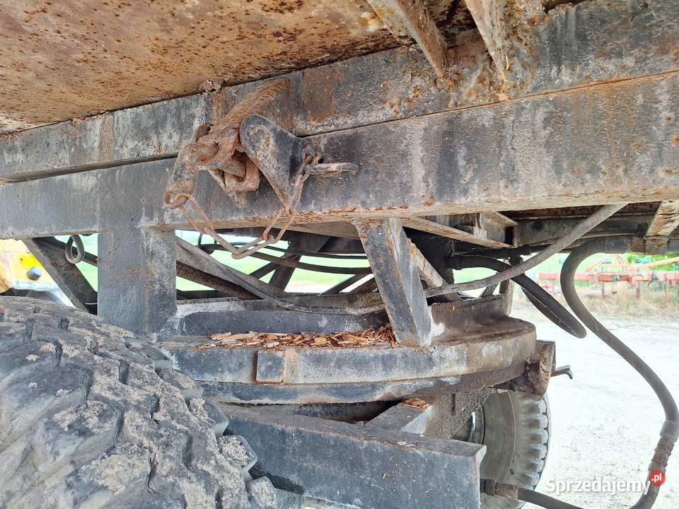 Przyczepa d43 Gostyń sprzedam