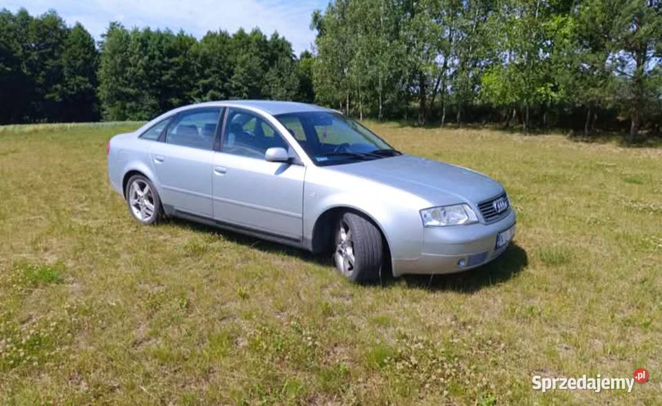 Audi a6 c5 kujawsko-pomorskie Książki