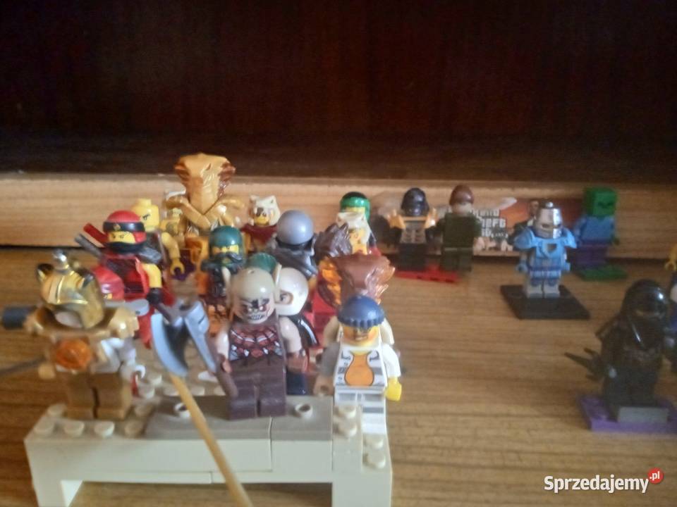 LEGO klocki z dodatkami wielkopolskie Okonek