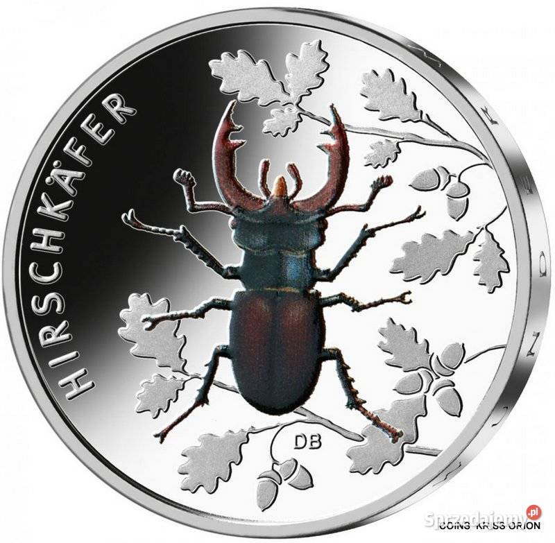 5 Euro Niemcy 2024r Chrząszcz Jeleniowaty Kolor śląskie sprzedam