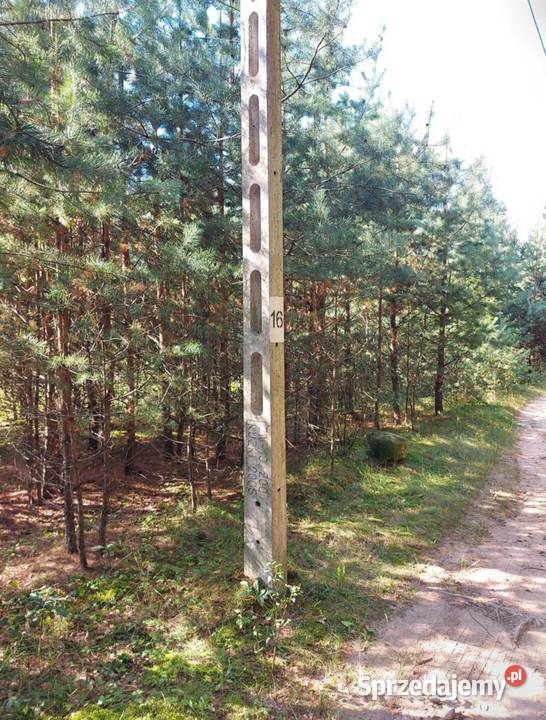 Działka 8400m2 gmina Dobrzyniewo Duże siedliskowa sprzedam