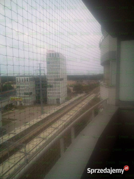 Siatka balkonowa kota Warszawa Montaż Siatki Na mazowieckie