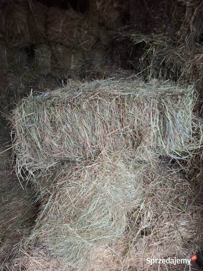 Sprzedam siano kostka Nieporęt sprzedam