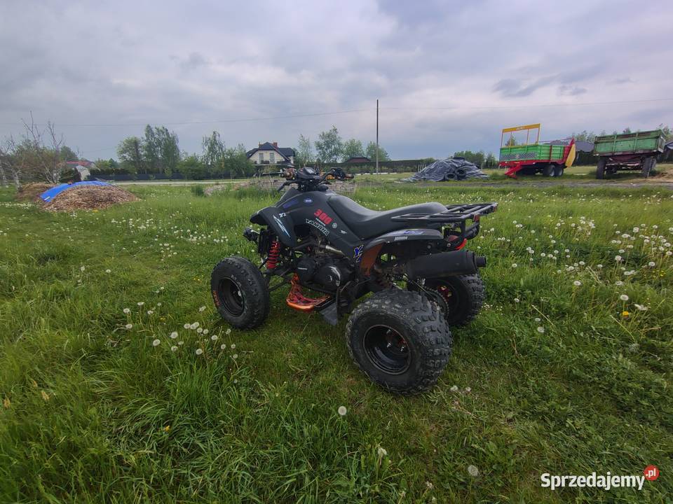 Quuad Dinli Lacki Star 300 2000km Medynia Głogowska