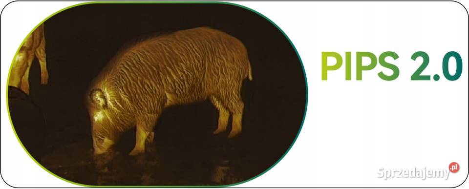 Luneta Termowizyjna Celownik Termowizyjny Pixfra Pozostałe Poznań