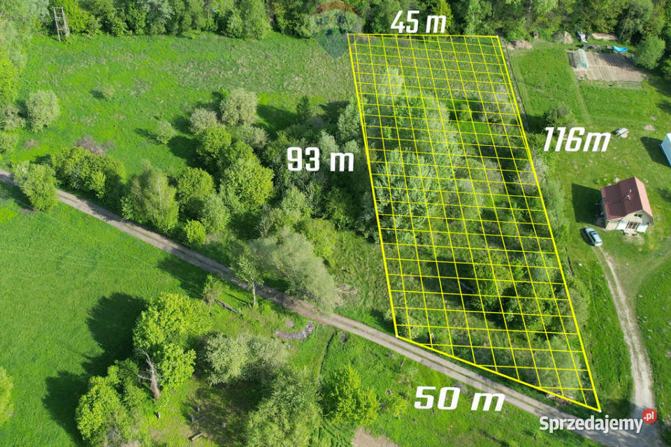 Działka Budowlana Wilków Wisłą 50m sprzedam