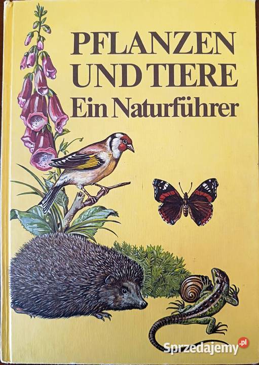 Książka Pflanzen und die Tiere Ein Naturfhrer