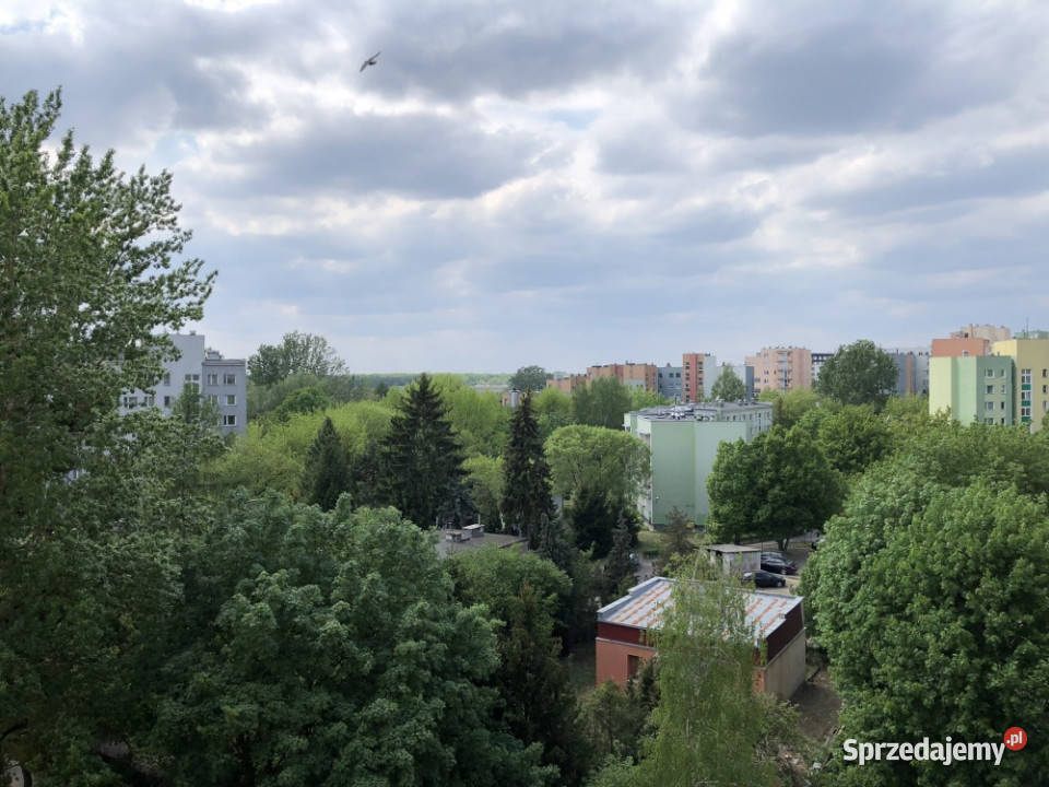 72 m ostatnie piętro nowa winda 0 loggia 14583zł/m2 Warszawa sprzedam