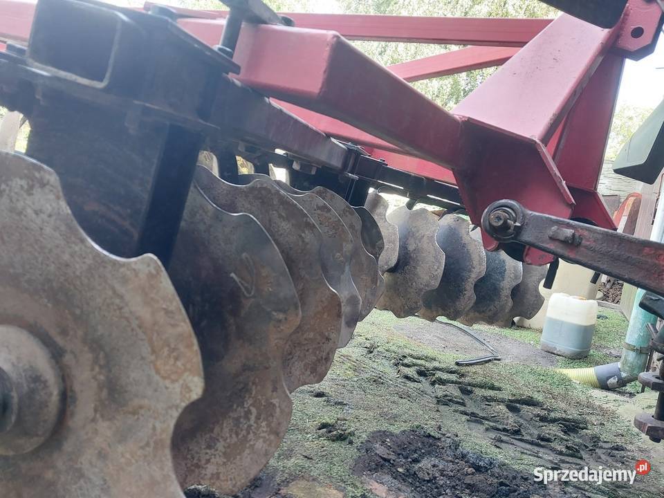 Brona talerzowa Brony Brzeg