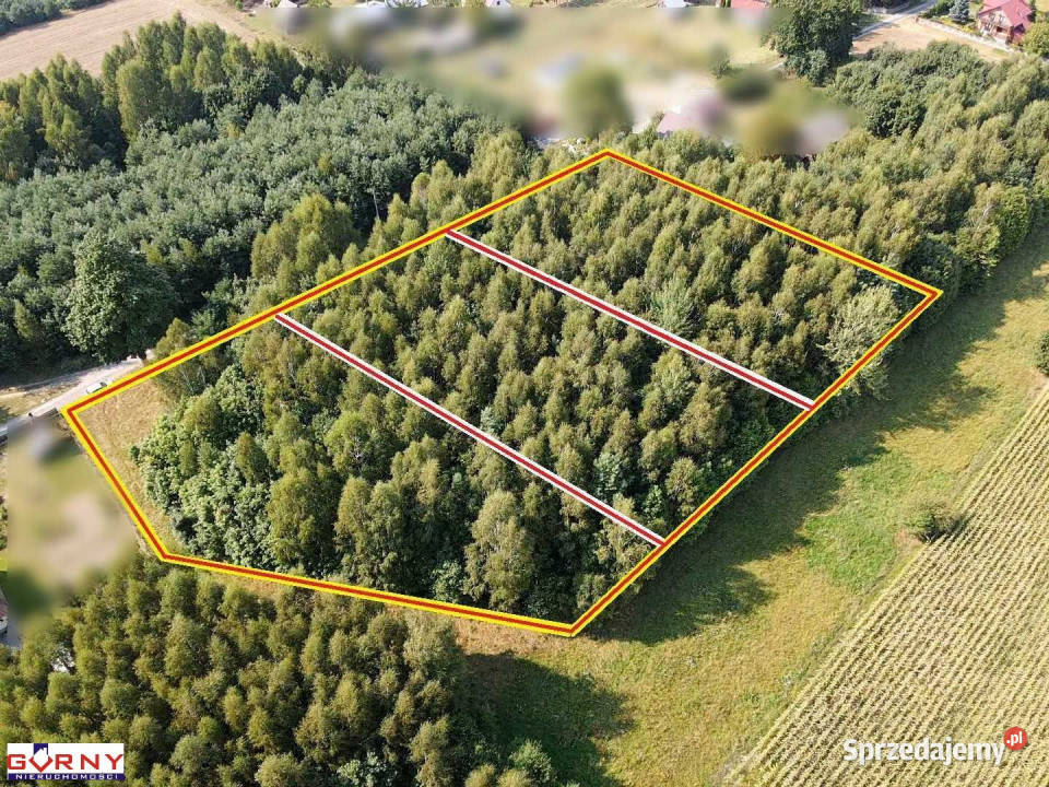 Działka 7400m2 Mniszków 7400m2