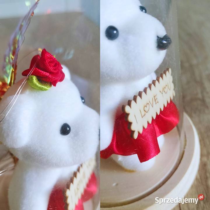 Róża w szkle LED z misiem I love youprezent Bydgoszcz