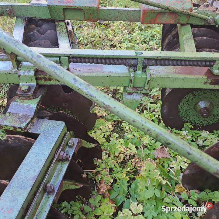 Talerzówka Eberhardt Piórków-Kolonia