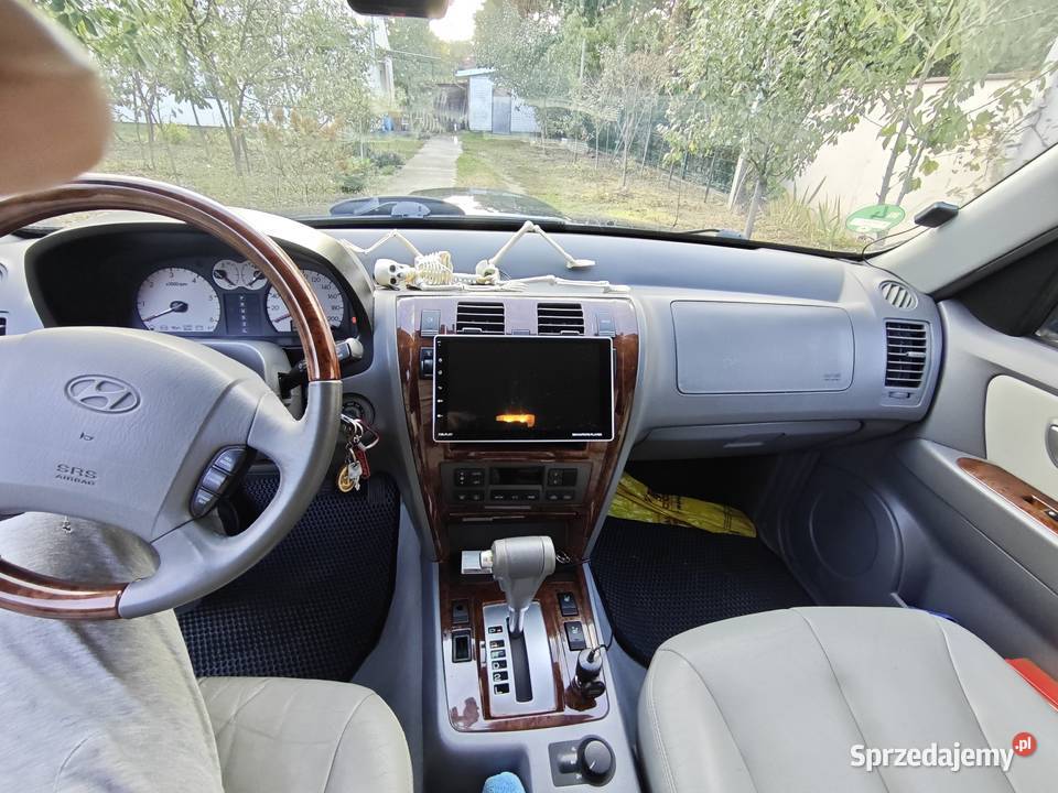 Terracan w stanie nieuszkodzony Józefów