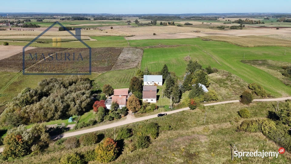 Siedlisko na sprzedaż Mikołajek niecałe 8