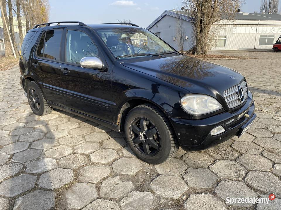 Czarny Menel idealny w teren Warszawa sprzedam