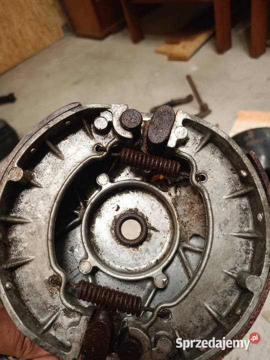 Szczękotrzymacz jawa cz Świerczów