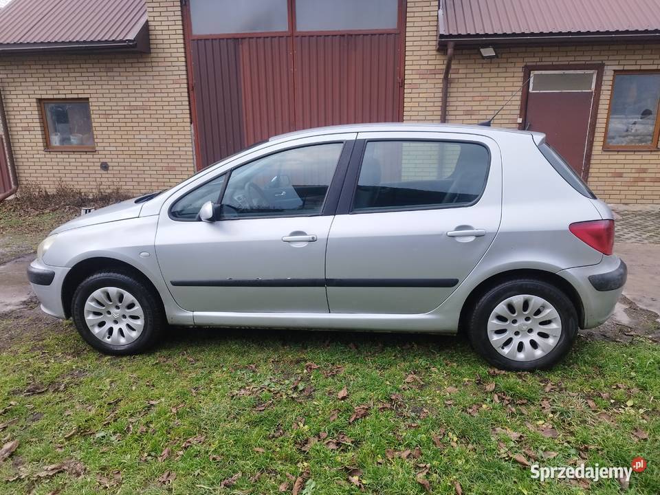 Peugeot 307 lubelskie