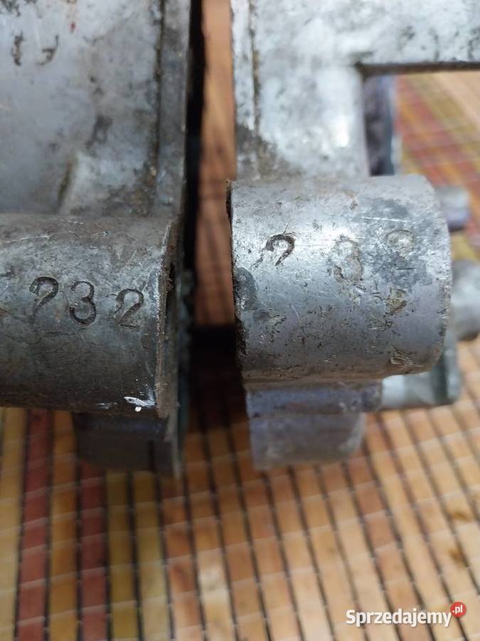 Kartery Komar Wolsztyn