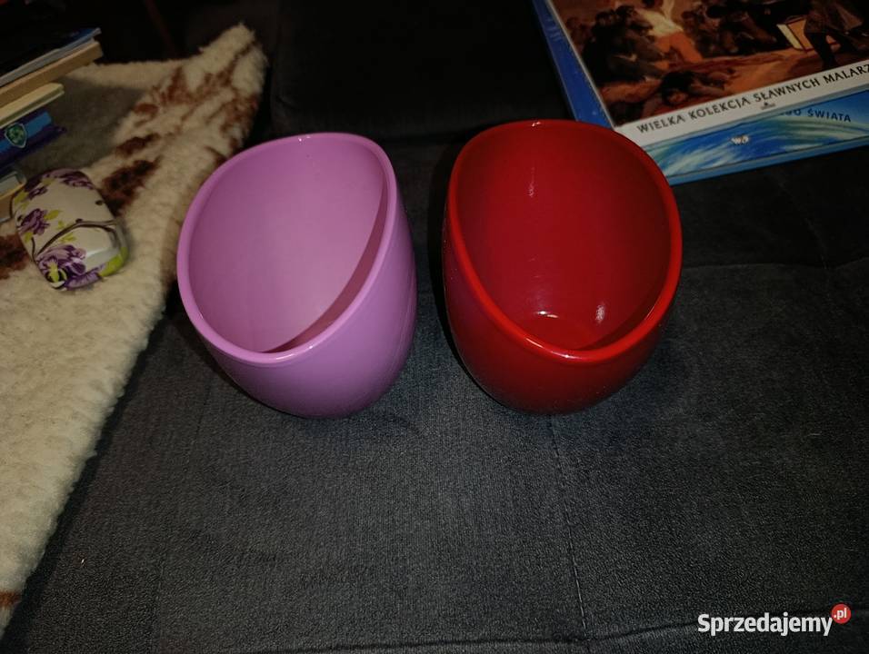 osłonki do storczyków Poznań