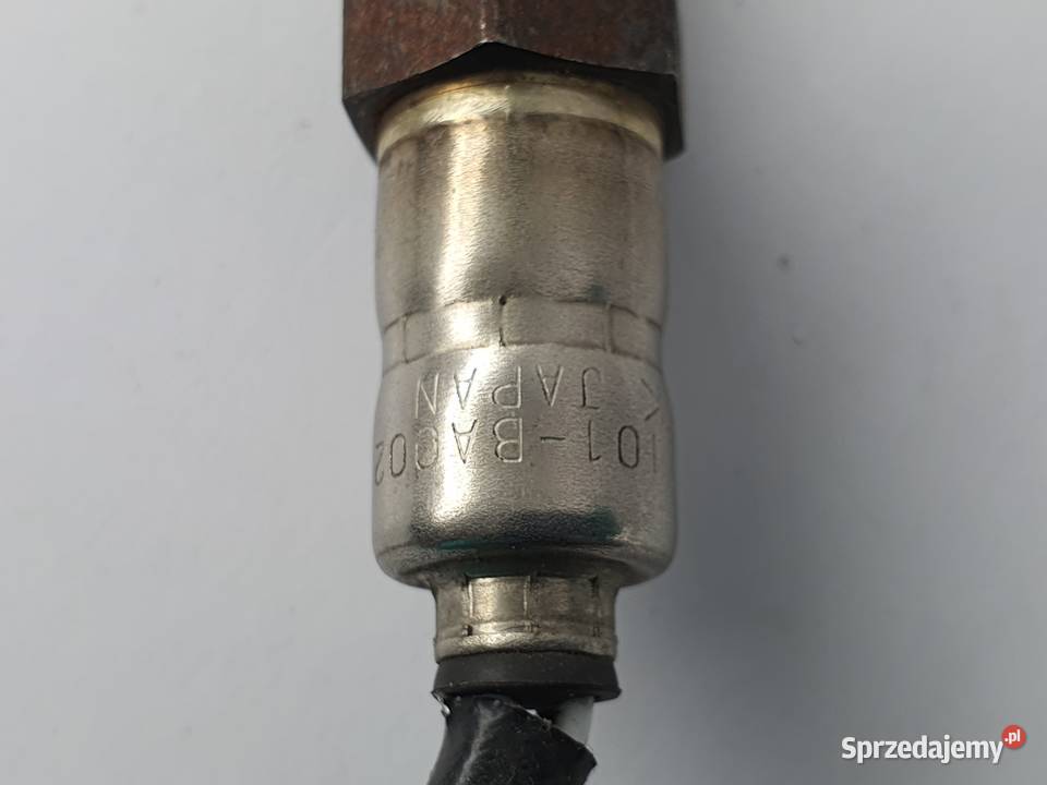 Sonda Triumph Tiger Explorer 1200 łódzkie Łódź