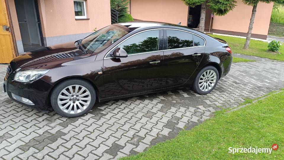 Opel Insignia Opel małopolskie Filipowice
