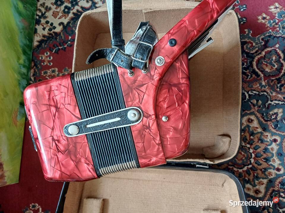 Akordeon DELICJA ARNALDO IV 80 basów Sosnowiec