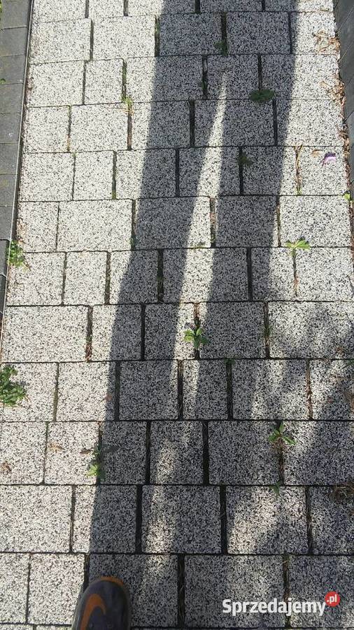 Układanie różnych kostek brukowych Wałbrzych
