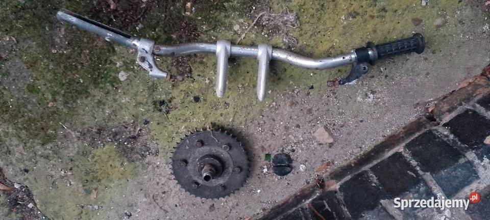wsk shl zębatka kierownica Zębatki napędowe Międzychód