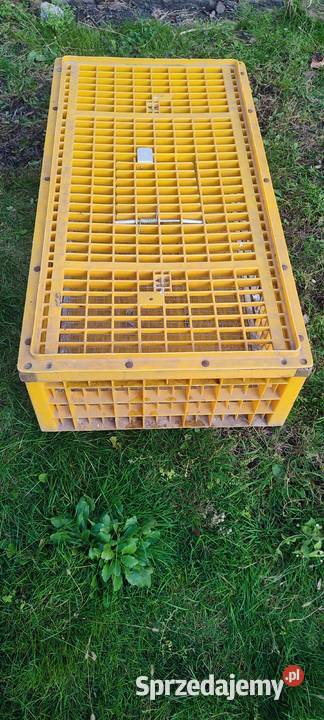 Klatka transportowa kurgołębi drobiu Koniecpol