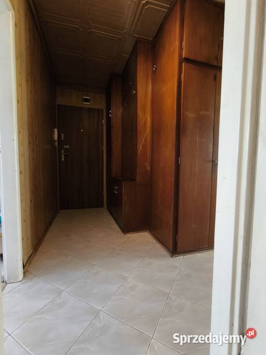 2 pokoje na Niebuszewie 464m2 wysoki parter parter Sprzedaż Szczecin