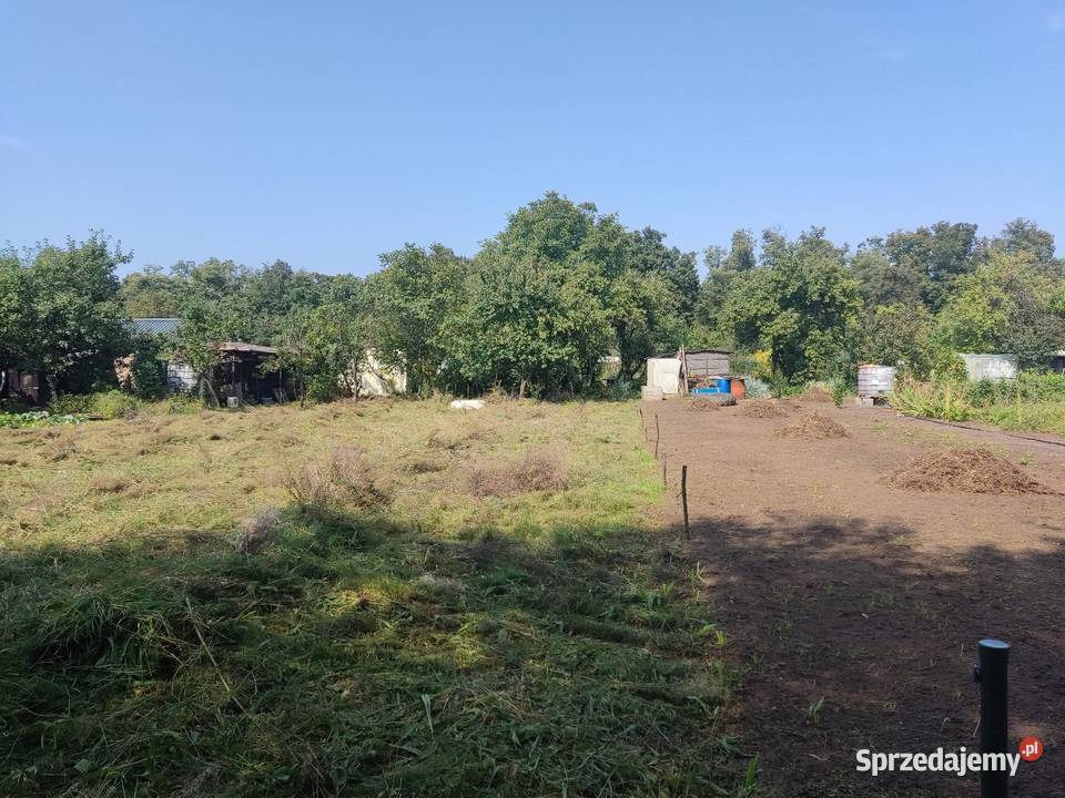 Działka Rod w Rydzynie Zamku królewskiego Leszno sprzedam