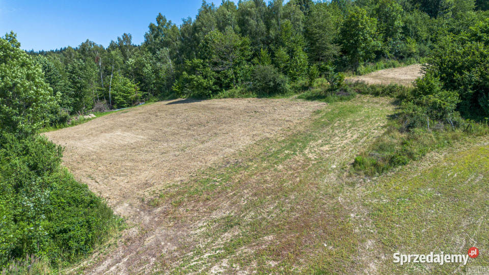 Sprzedam działka 3671m2 Żarnówka os Grapa sprzedam