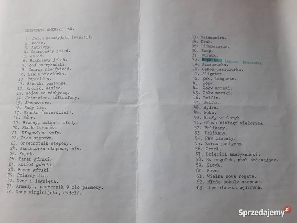 Przeźrocza Zwierzęta Półn Amerykańskie Bielsko-Biała