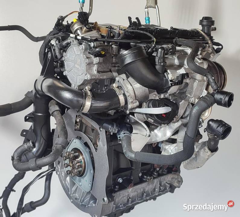 VW TIGUAN II SILNIK KOMPLETNY 20 TSI 74 CZPA osobowe Silniki kompletne sprzedam